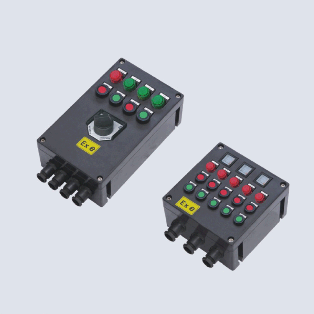 BXK8050-系列防爆防腐控制箱(IIC、 ExtD)